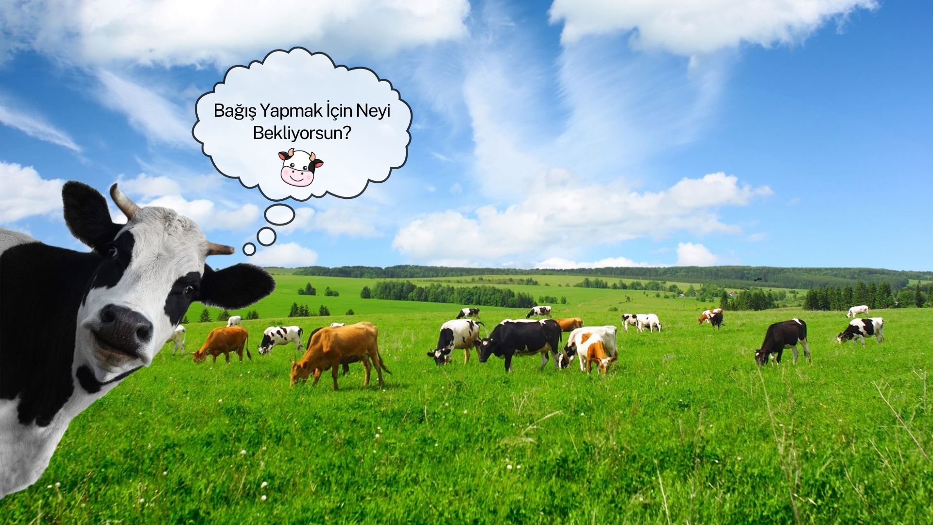 İyilik Paylaşmanın En Kolay Yolu!